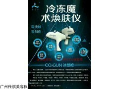 冷凍魔術煥膚儀 冰塑槍與煥膚槍的工廠直供解決方案